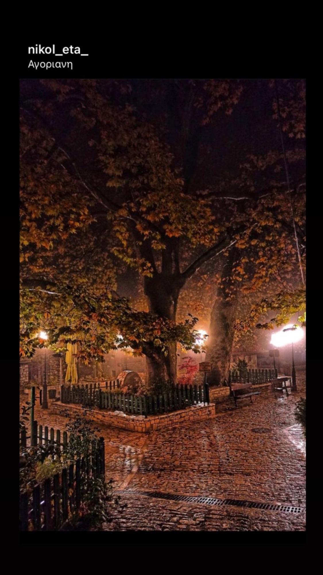 Asimina Guesthouse, Eptalofos Parnassos Екстер'єр фото