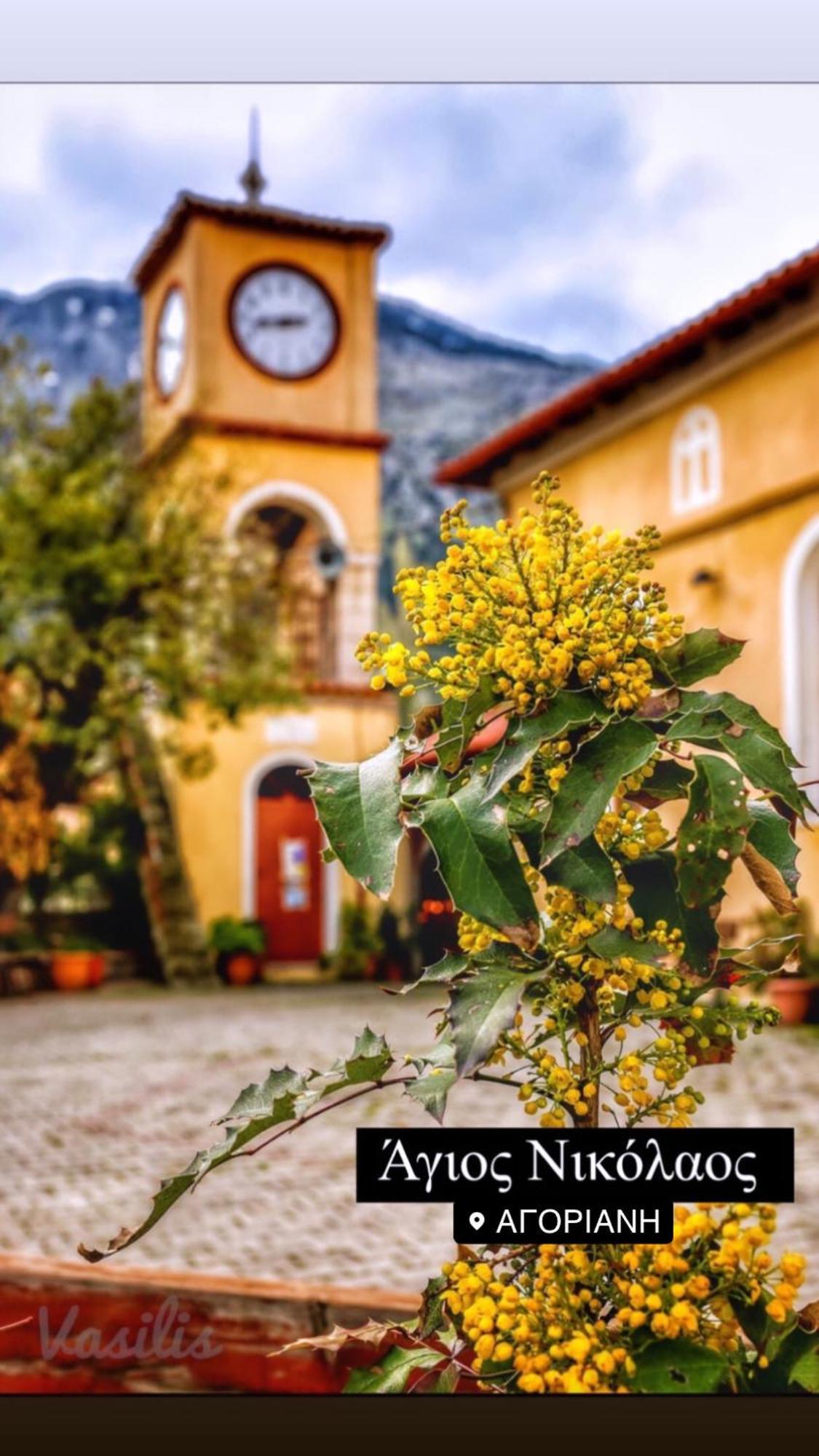 Asimina Guesthouse, Eptalofos Parnassos Екстер'єр фото