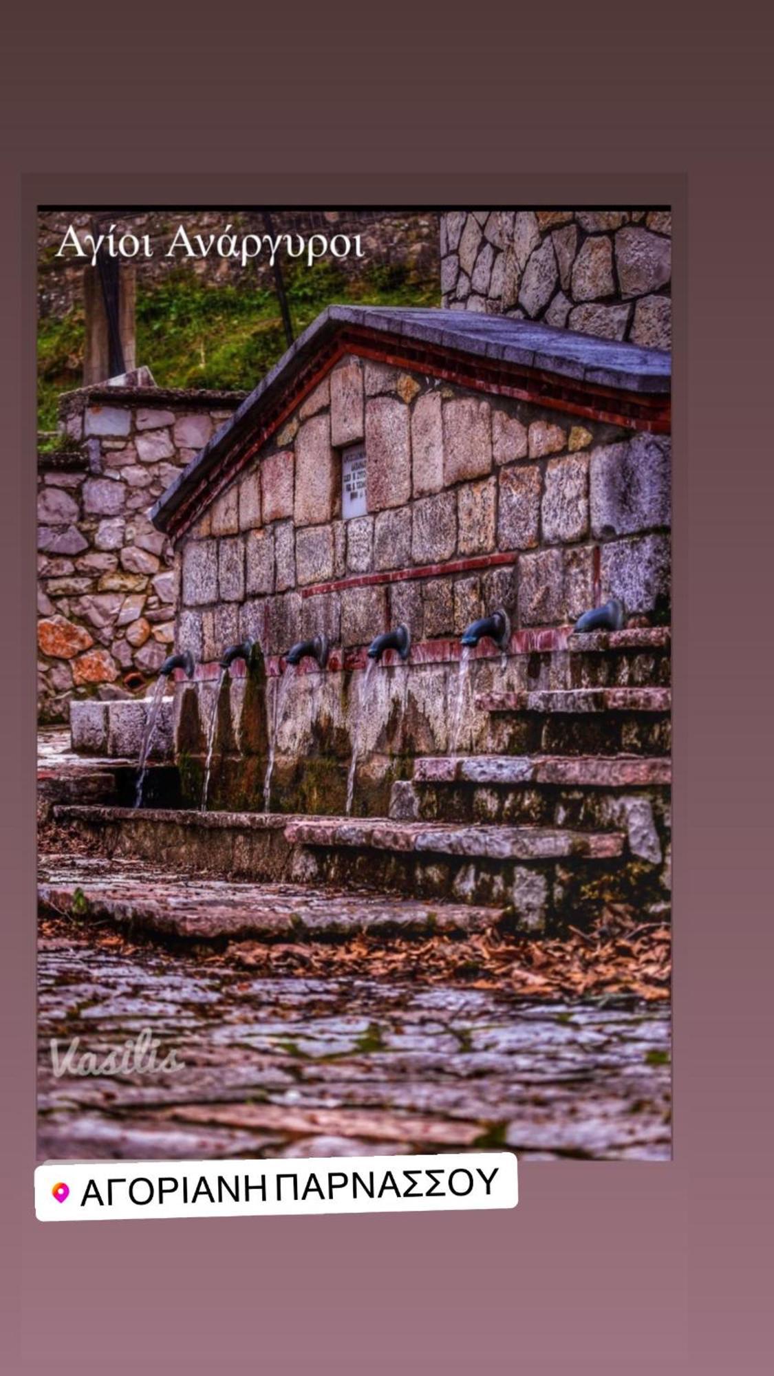 Asimina Guesthouse, Eptalofos Parnassos Екстер'єр фото