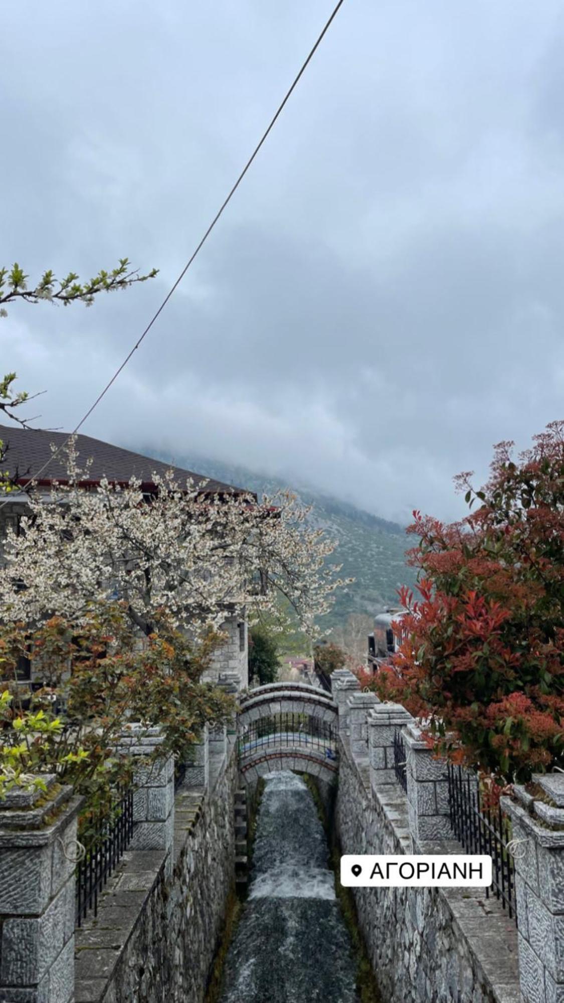 Asimina Guesthouse, Eptalofos Parnassos Екстер'єр фото