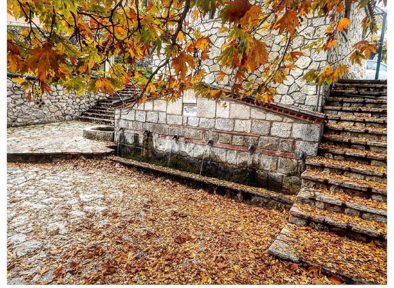 Asimina Guesthouse, Eptalofos Parnassos Екстер'єр фото