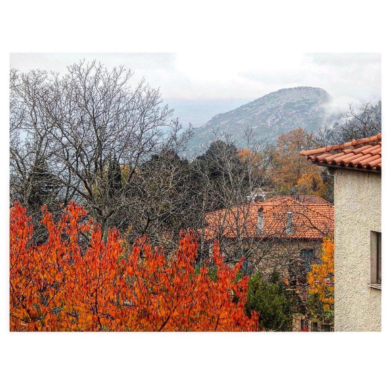 Asimina Guesthouse, Eptalofos Parnassos Екстер'єр фото