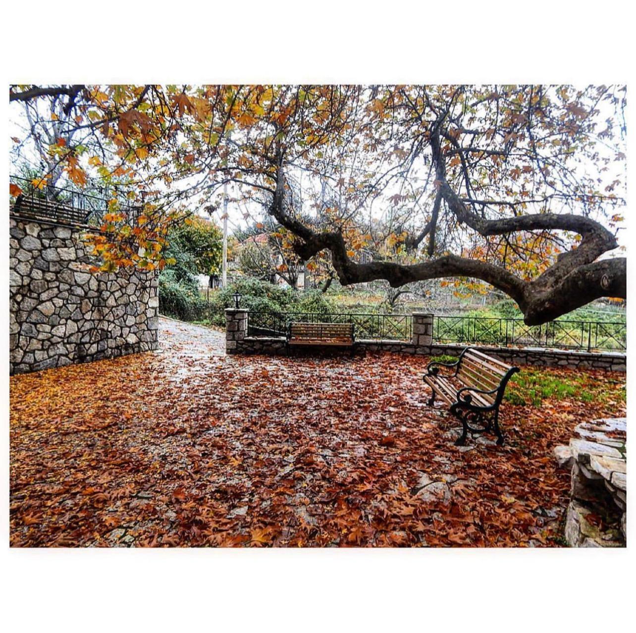 Asimina Guesthouse, Eptalofos Parnassos Екстер'єр фото