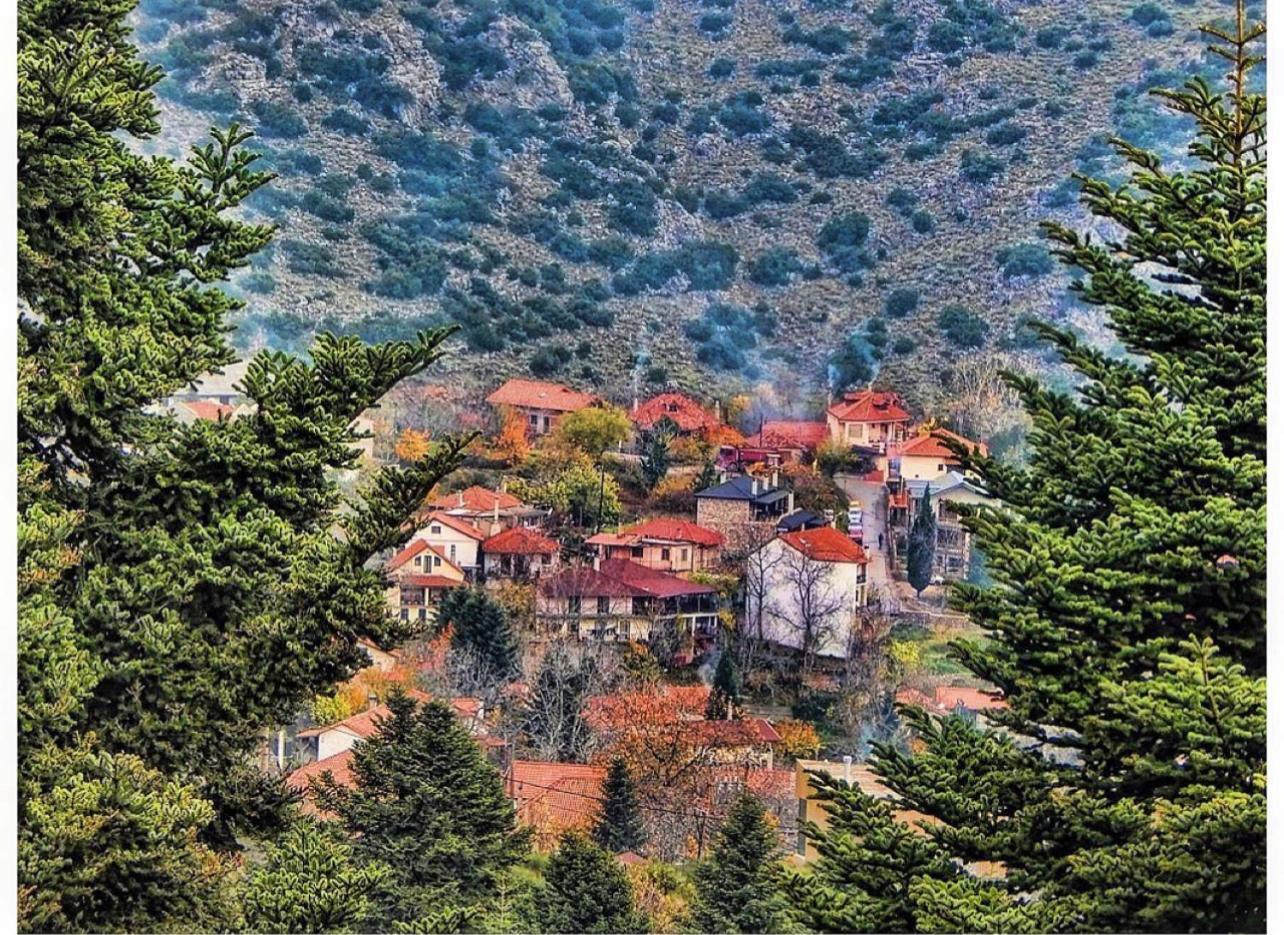 Asimina Guesthouse, Eptalofos Parnassos Екстер'єр фото