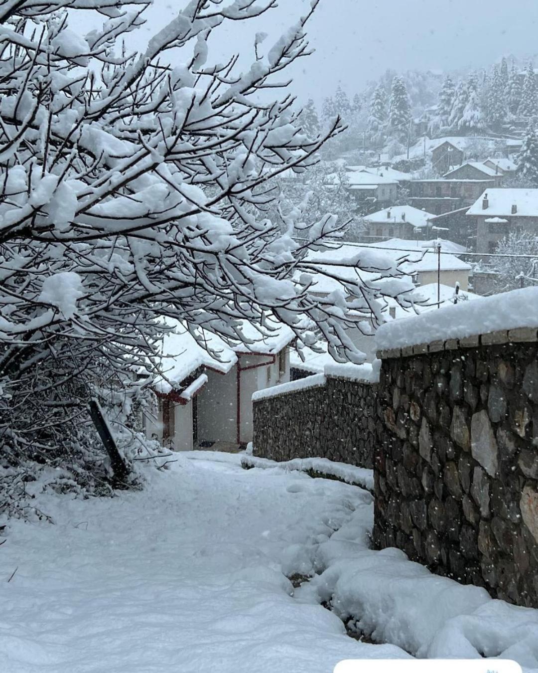 Asimina Guesthouse, Eptalofos Parnassos Екстер'єр фото