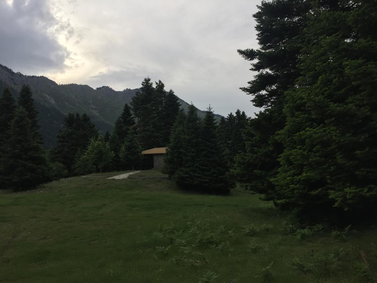 Asimina Guesthouse, Eptalofos Parnassos Екстер'єр фото