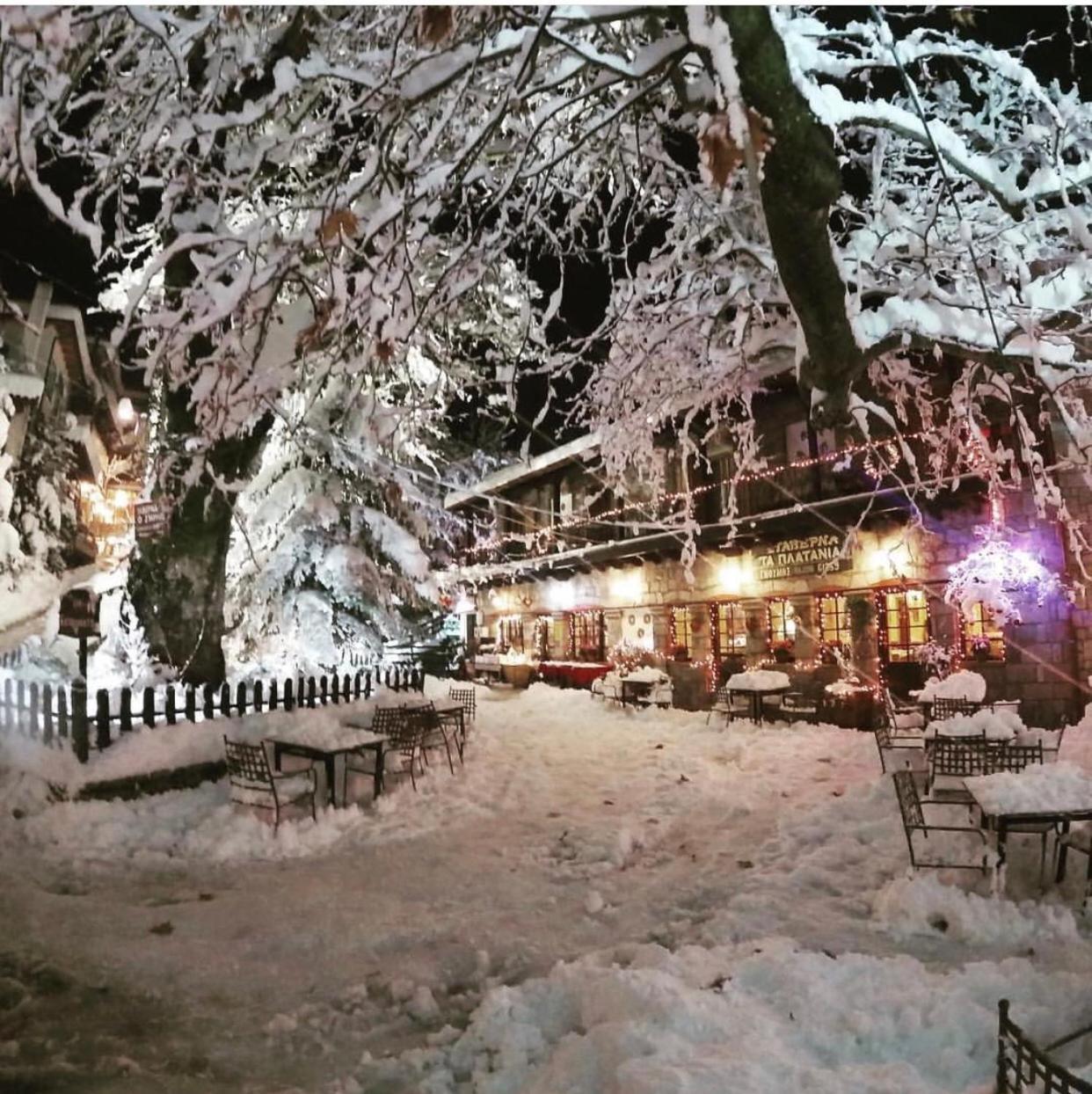 Asimina Guesthouse, Eptalofos Parnassos Екстер'єр фото